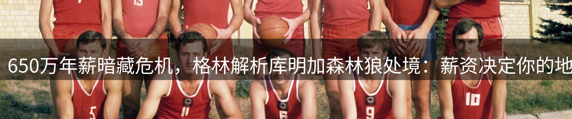 焦点视窗